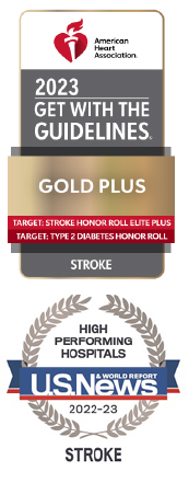 Stroke Care Awards Badges